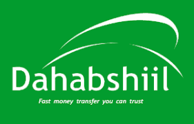 dahabshiil logo